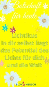 Lichtkraft - Lichtikus - in dir selbst liegt das Potential des Lichts für dich und die Welt